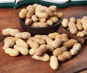 Armağan Kuruyemiş Kavrulmuş Kabuklu Fıstık