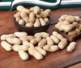 Armağan Kuruyemiş Kabuklu Çiğ Fıstık